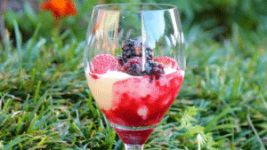 Leia mais sobre o artigo Mousse de queijo com geleia de frutas vermelhas