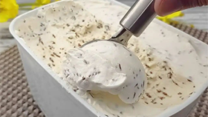 Leia mais sobre o artigo Sorvete Caseiro de Flocos